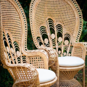 Assise