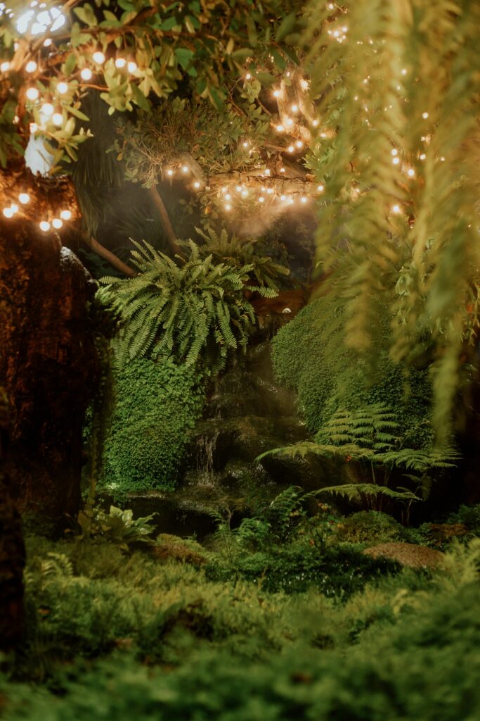 Une scène de forêt magique avec une cascade, une verdure luxuriante et des guirlandes lumineuses scintillantes pour un expérience immersive